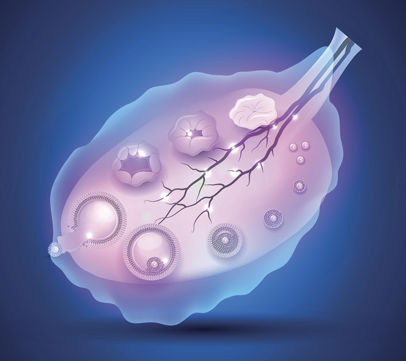 杭州二代试管技术的医院盘点：邵逸夫、浙大妇院等公立三甲优势解析，附本地辅助生殖机构服务对比